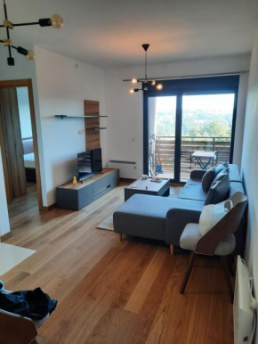 Apartman vila Pekovic Blue 36A